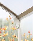 8x6, 8x8, 10x10 Polycarbonate Kecil Hobby Rumah kaca / Durable Rumah Kaca Hias
