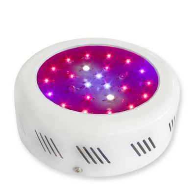 Berbunga LED Tanaman Tumbuh Cahaya 3watt Pertumbuhan Tanaman Dengan 50000 Jam Long Masa Hidup