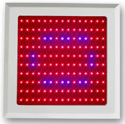 150W LED Tanaman Tumbuh Cahaya Merah Biru spektrum untuk sayur Shed dan garde botanic