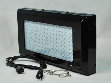 Tinggi intensitas Red dan Blue LED tanaman tumbuh Ligh 3 watt untuk Indoor sayur taman pencahayaan