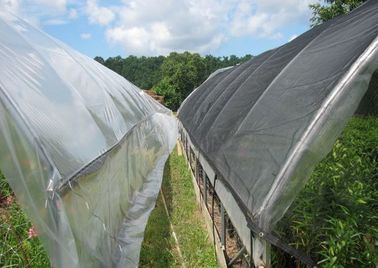 Hitam Plastik Rumah Kaca Naungan Netting Untuk Pertanian, 4 x 100m