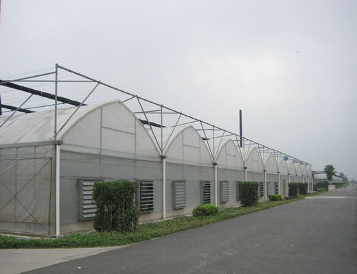 4000mm bagian film plastik rumah kaca Commercial, 8000mm rentang