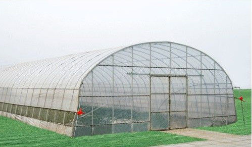 energi disesuaikan hemat rumah kaca Commercial, 8000mm rentang terowongan rumah kaca