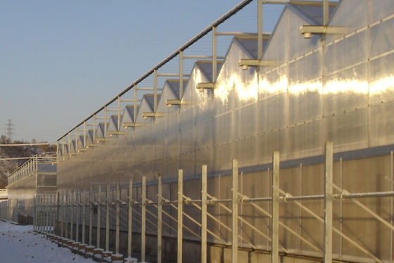 4000mm bagian Commercial Venlo polycarbonate rumah kaca 03/02 pegunungan per span, 9600mm rentang