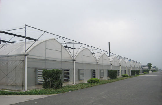 8000mm rentang film plastik gaya gothic rumah kaca untuk Commercial, 3000mm bagian