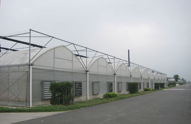 8000mm rentang gothic gaya rumah kaca Commercial dengan Film inflasi udara, 3000mm bagian