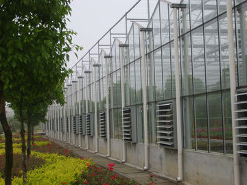 12000mm rentang kaca rumah kaca Commercial, 4000mm bagian Venlo rumah kaca