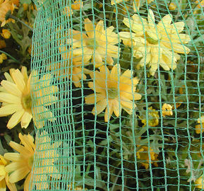Struktur Green Square Braid Olive Netting / HDPE Nets Untuk Panen Zaitun