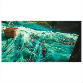 Struktur Green Square Braid Olive Netting / HDPE Nets Untuk Panen Zaitun