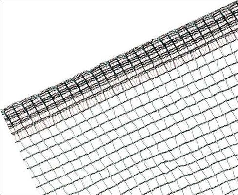 Struktur 42 Gram Hitam &amp; Green Bifiliment Pertanian Netting, Anti Salam Nets