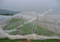 HDPE Greenhouse Pengendalian Serangga Netting / serangga Perlindungan Mesh untuk Buah atau Sayuran