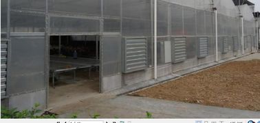 Model Uni Eropa Greenhouse Film