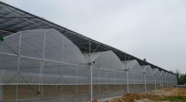 Model Uni Eropa Greenhouse Film