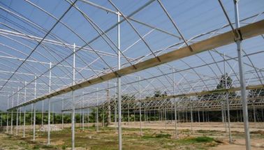 Model Uni Eropa Greenhouse Film