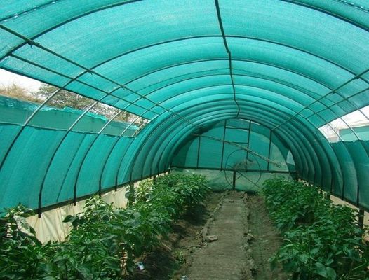 HDPE Aschel Rajutan Pertanian Naungan Bersih Untuk Rumah Kaca, 30gsm-300gsm