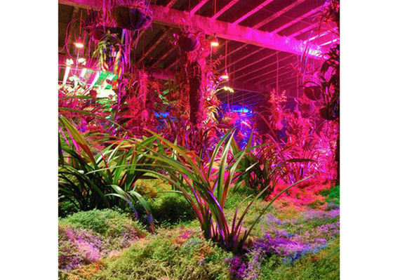 0,6 m Tanaman Indoor LED Tumbuh Lampu Untuk Green House Dan Hidroponik Tumbuh
