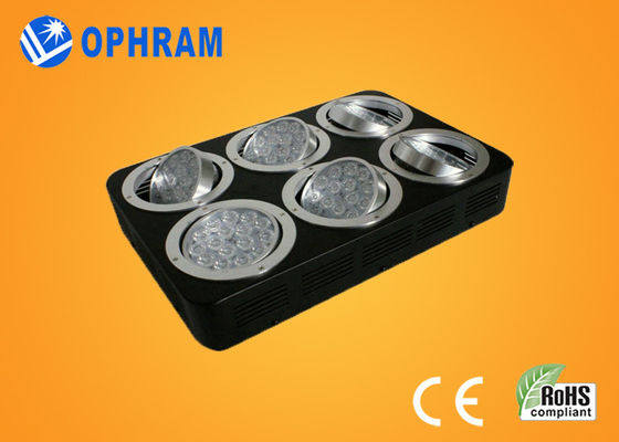 High Power IP20 Full Spectrum LED Grow Lampu untuk Bibit / berdaun