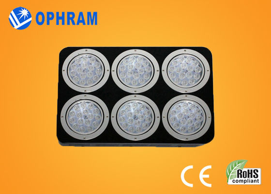 High Power IP20 Full Spectrum LED Grow Lampu untuk Bibit / berdaun