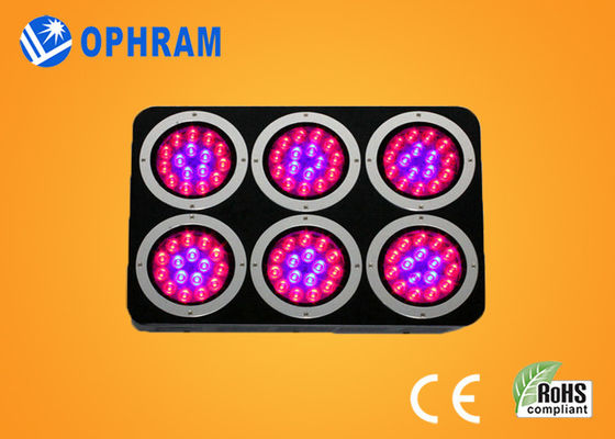 High Power IP20 Full Spectrum LED Grow Lampu untuk Bibit / berdaun