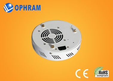 Epistar IP20 50W Full Spectrum LED tumbuh lampu untuk Bunga AC85-265V