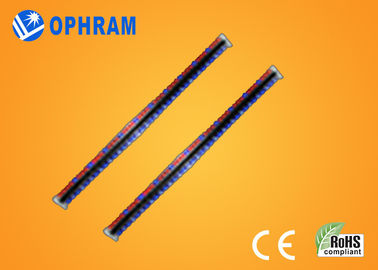 Kecerahan tinggi Epistar IP65 Merah Dan Biru LED Grow Lampu Dengan CE / ROHS