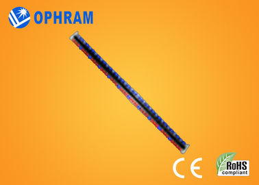 Kecerahan tinggi Epistar IP65 Merah Dan Biru LED Grow Lampu Dengan CE / ROHS