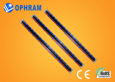 Kecerahan tinggi Epistar IP65 Merah Dan Biru LED Grow Lampu Dengan CE / ROHS