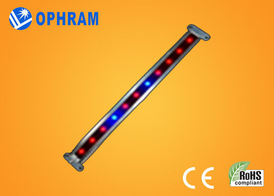 10W SMD 2835 Sayuran / berbunga LED Grow Lights dengan 180 ° Beam Angle