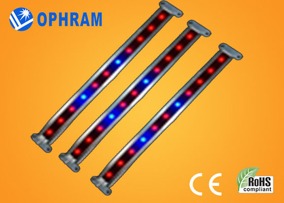 10W SMD 2835 Sayuran / berbunga LED Grow Lights dengan 180 ° Beam Angle