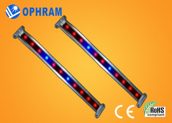 10W SMD 2835 Sayuran / berbunga LED Grow Lights dengan 180 ° Beam Angle