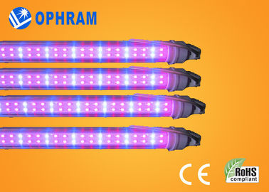 50Hz / 60Hz 230V / 240V penuh Spectrum LED Grow Lampu Untuk Sayuran