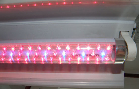 G13 LED Tanaman Tumbuh Lampu Merah Dan Biru Hidroponik untuk Greenhouse Pertanian