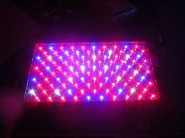 120W rumah kaca Tinggi daya LED Grow Light