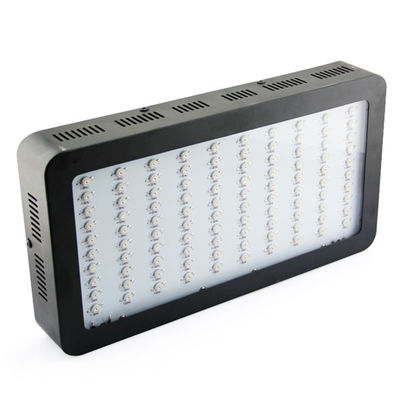Tinggi lumen Taman Tanaman Indoor spektrum penuh 300watt LED Grow Lights dengan leds Epistar